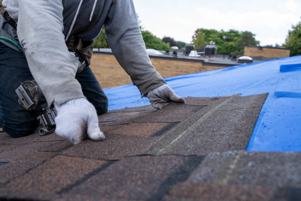 Best Roof Replacement Cost  in Eudora, KS