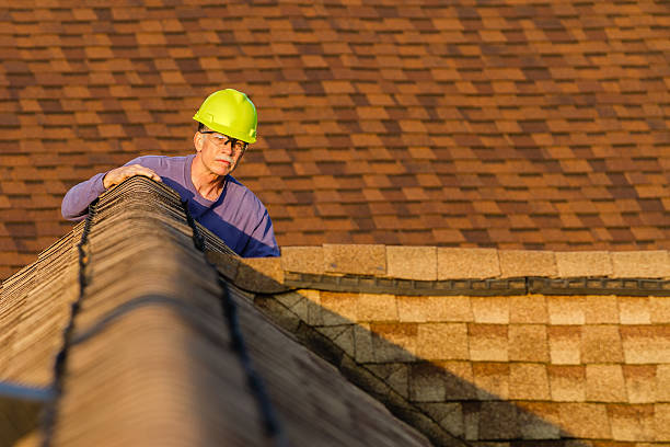 Best Metal Roofing Contractor  in Eudora, KS